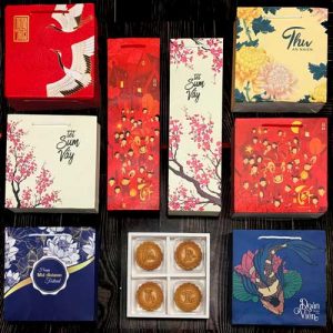 Túi hộp giấy