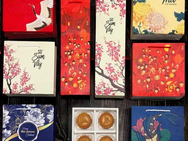 Túi hộp giấy